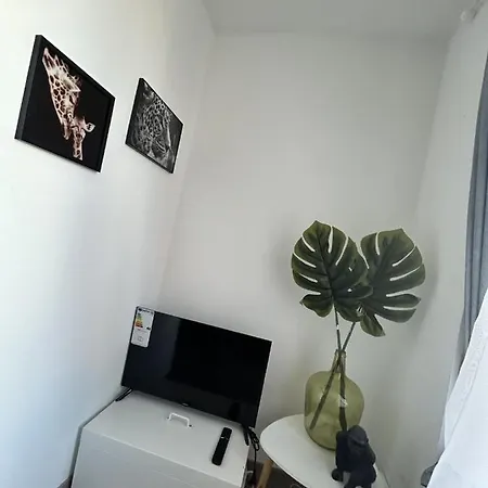 Les Jardins Tropicaux Duplex Boulay - Moselle