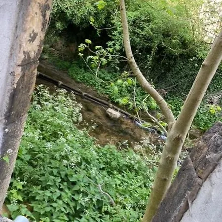 Les Jardins Tropicaux Duplex Hotel Boulay - Moselle