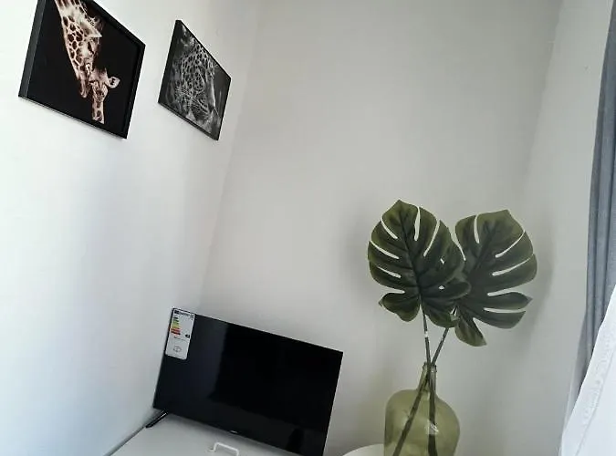 Les Jardins Tropicaux Duplex Boulay - Moselle