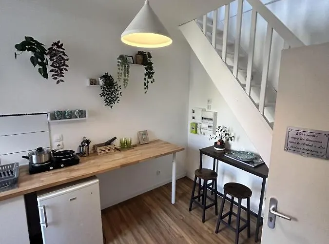 酒店 Les Jardins Tropicaux Duplex Boulay - Moselle