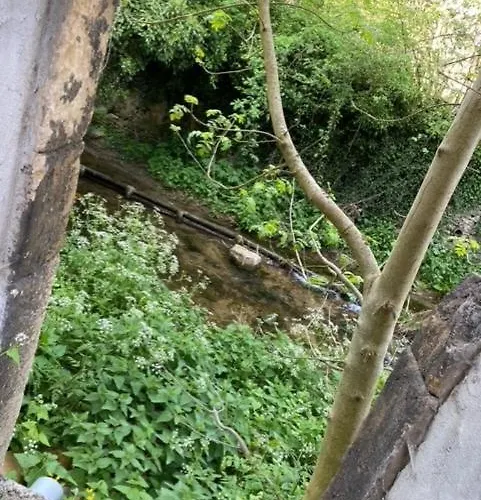 Les Jardins Tropicaux Duplex Hotel Boulay - Moselle